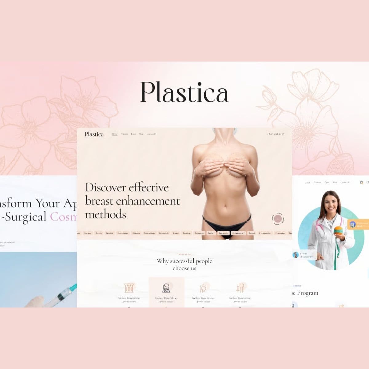 Plastica - WordPress Plugin/Theme Screenshot of Plastica interface