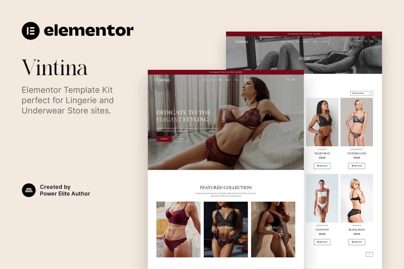 Vintina - WordPress Plugin/Theme Screenshot of Vintina interface